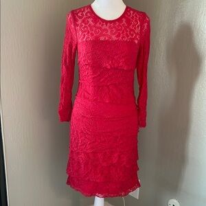 Elegant Hot Pink Lace Dress